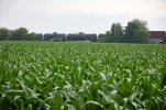 ohio036A9309.jpg