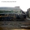 img630.  TM.  60034.  Darlington Shed.  March 1965.  copyright FINAL JPEG Resized.jpg