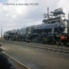 img633.  TM.  48532 and 48536.  Darlington Shed.  March 1965.  copyright FINAL JPEG Resized.jpg