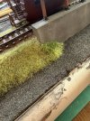 IMG_1120.jpeg