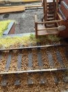 IMG_1122.jpeg