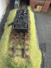 IMG_1155.jpeg