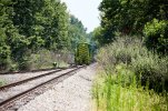 Cin east036A9765.jpg