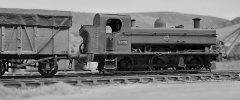 20250310_114256_bw.jpg.b242ac1b4dbd33ed63ddcfdbadb72ae6.jpg