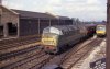 D819.  Southall.  2 May 1965.  Personal Collection.  Final.  Photo Brian Dale.jpg
