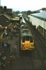 6 Nov 1982 Torrington Last Train.jpg