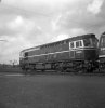 D6504. Ashford Works. 5 April 1961. Personal Collection. Photo by Brian Dale. FINAL.jpg D6504. Ashford Works. 5 April 1961. Personal Collection. Photo by Brian Dale. FINAL.jpg