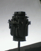 Sentinel1.gif Sentinel1.gif