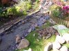 Dscn1489.jpg Dscn1489.jpg