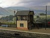 Copy of IMG_1075-crop.JPG