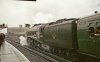 60024.  Fifth Shot.  Waterloo.  26 March 1966.  FINAL.jpg
