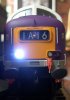 55016-37.jpg 55016-37.jpg