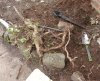 garden-09.jpg