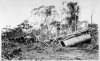 mallee roller pc002676.jpg mallee roller pc002676.jpg