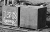 Pears 2.jpg Pears 2.jpg