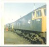 D1662.jpg