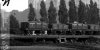 gww windsor 9.jpg gww windsor 9.jpg