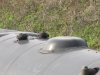 IMG_4747.jpeg