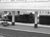 NC 1513 B&W f2.jpg