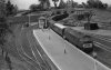 western queen f3 B&W.jpg