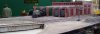 100_0131 - Copy.JPG