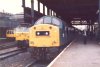 40060 Man Vic 1984.jpeg 40060 Man Vic 1984.jpeg