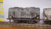 Grain_005.gif