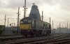 D5076. Willesden Shed. 14 March 1965. Personal Collection. Final. Photo Brian Dale - Copy.jpg D5076. Willesden Shed. 14 March 1965. Personal Collection. Final. Photo Brian Dale - Copy.jpg