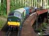 D6319 and D6333 work the Tavistock  Yard to St Blazey freight.JPG.jpg
