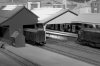 glazing f6 B&W.jpg