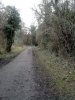 HolywellT3.jpg HolywellT3.jpg