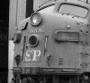 SP 0355.jpg