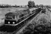 D5510 with D5519.  Chesterton Junction, Cambridge.  27 May 1959 (2).jpg