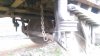 IMAG0161.jpg