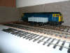 P1000783-1.jpg