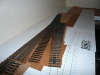 P1000791-1.jpg
