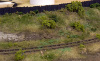 BL-greenery.jpg BL-greenery.jpg