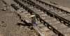 ground-signal-1.jpg ground-signal-1.jpg