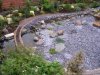 pond1.JPG pond1.JPG