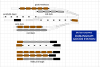 Dublingham Goods Station-v11h-train-lengths.png