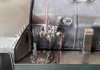 20180720_081253.jpg