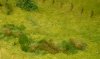 new grass detail f2.jpg new grass detail f2.jpg