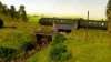 grass and 117 f1.jpg