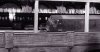 D6311 B&W.jpg