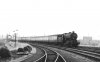 MARKET WEIGHTON EAST.jpg